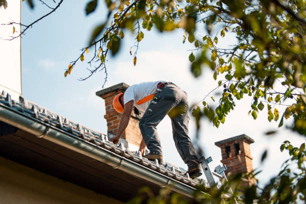 Best Flat Roof Repair Services  in Rock Rapids, IA