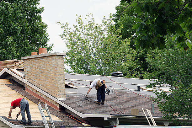 Best Flat Roof Repair Services  in Rock Rapids, IA